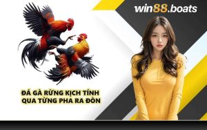 Đá Gà Rừng kịch tính qua từng pha ra đòn